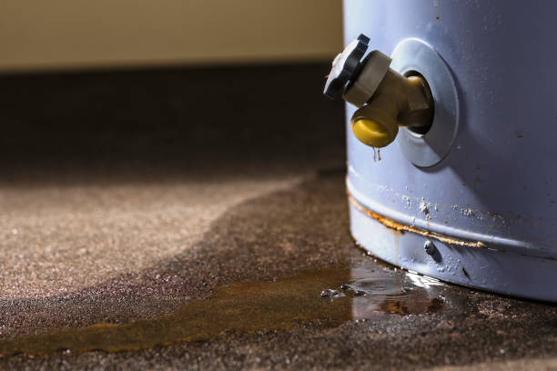 Best Local water damage restoration  in Spring Hope, NC