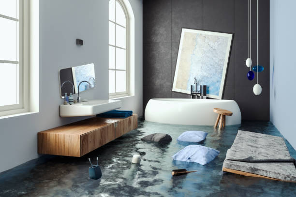 Best Water damage restoration near me  in Spring Hope, NC
