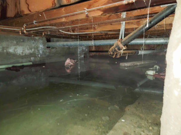 Trusted Spring Hope, NC Water damage restoration Experts