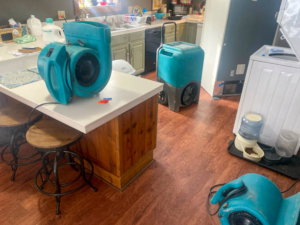 Best Carpet water damage restoration  in Spring Hope, NC