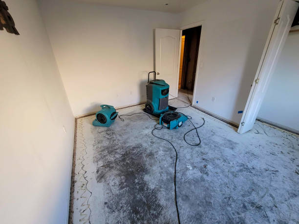 Best Sewage cleanup and water damage restoration  in Spring Hope, NC