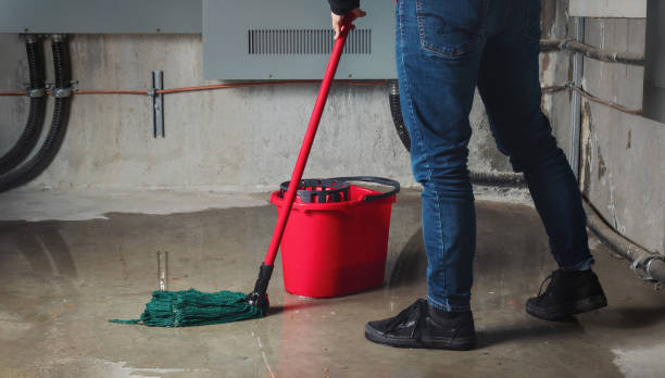 Best Water damage contractors near me  in Spring Hope, NC