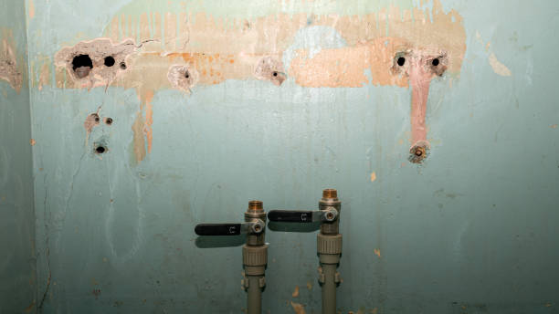 Best Flood damage cleanup  in Spring Hope, NC