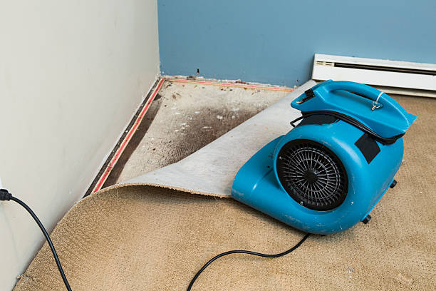 Best Basement water damage restoration  in Spring Hope, NC